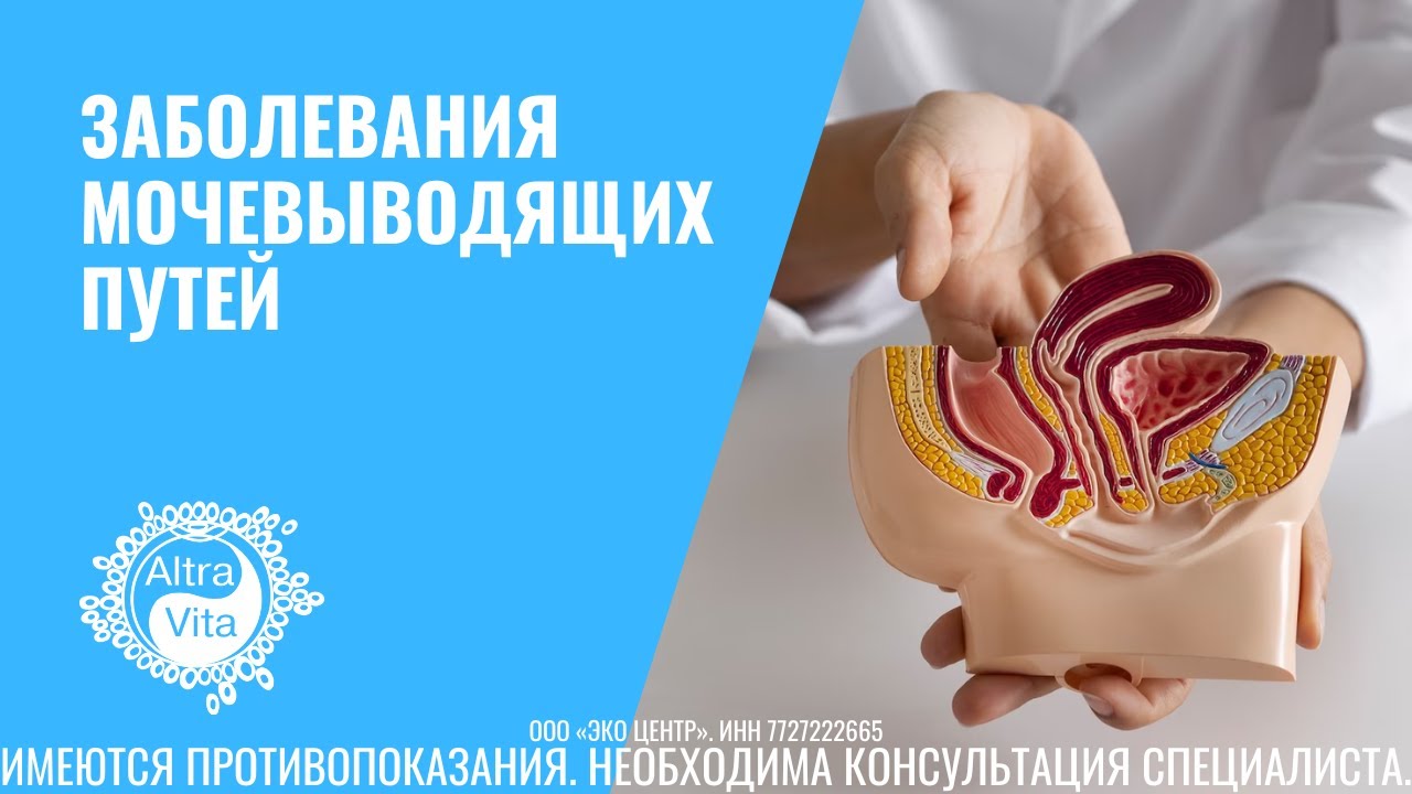 Диагностика и лечение воспалительных заболеваний мочевыводящих путей у ...