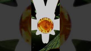 Luna Bala Extreme Slowed lunabala extreme slowed bassboosted phonk