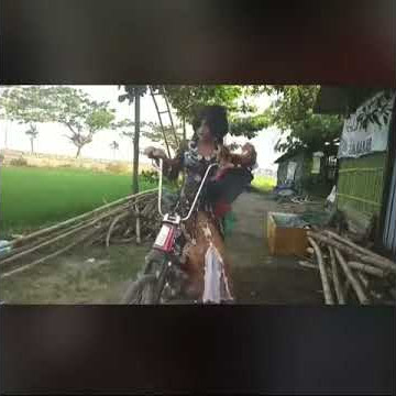 Vidro lucu banci naik motor
