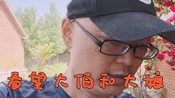 虎子的后半生 Youtube 虎子的后半生 Youtube