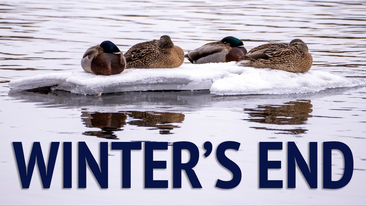Winters End - A Relaxing Beautiful Look at the Last Ice of the Canadian Season