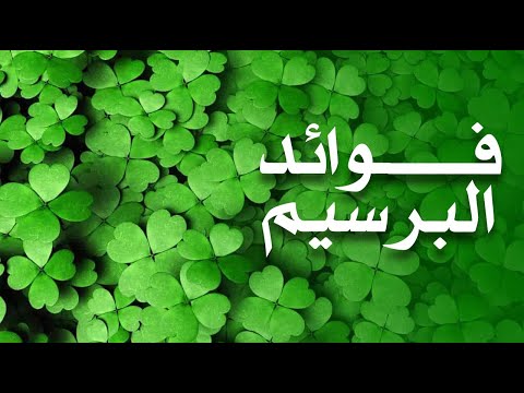 ما هي فوائد البرسيم