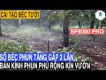 Cải tạo béc tưới cũ giúp tăng số béc phun lên gấp 3 lần, độ phủ phun đều kín toàn vườn