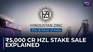 Hindustan Zinc OFS Explained | Why Govt Is Selling Stake & What It Means For Investors