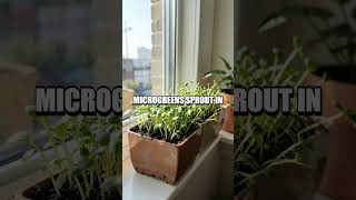 A Minute to Green: Quick Eco Wins in Daily Life