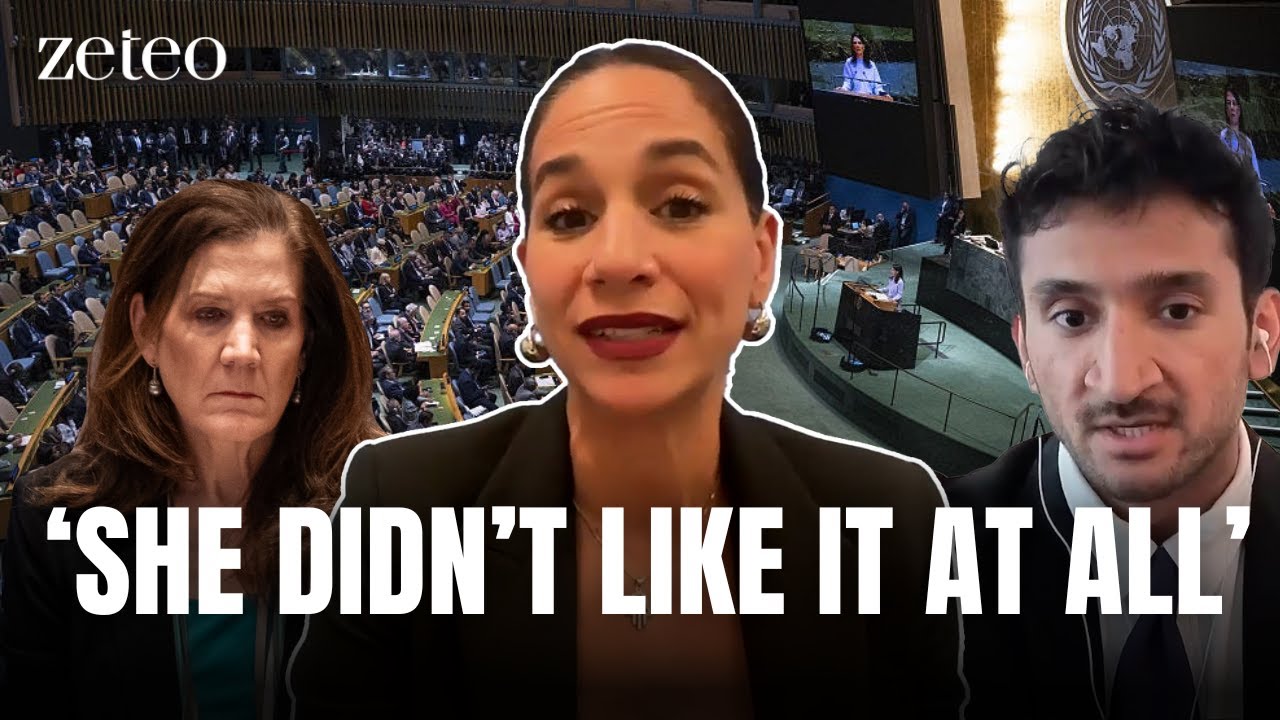 ‘She Didn’t Like It at All’: Noura Erakat Confronts the UN Over Gaza