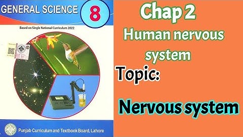 8th Class Science Chapter 2 - Human Nervous System - - Class 8 General Science New Book Chapter 2
