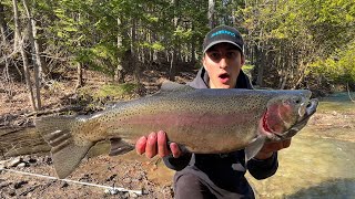 I Caught my BIGGEST EVER Rainbow Trout!