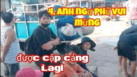 ghe lưới ghẹ, trúng hàng tấn ký ghẹ đã cập cảng#automobile