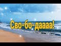 Наконец-то свершилось! Всё чего ждали.