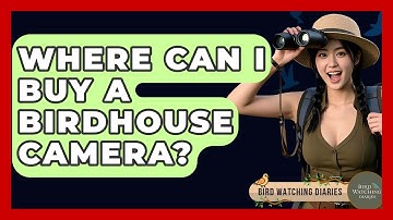 Where Can I Buy A Birdhouse Camera? - Bird Watching Diaries