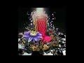 CẠM Æ N Ngà I Ft Rush CẠM Æ N Ngà I Ft Rush