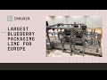 Largest blueberry packing line in Europe: Induser joint project 2018
