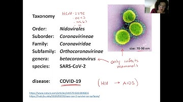 Introduction to SARS-CoV-2