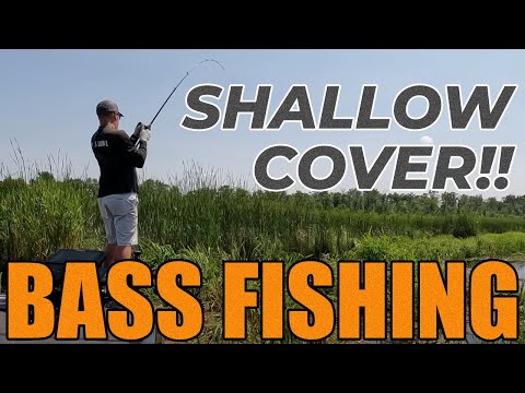 Shallow Water Bass: From Cattail Undercuts to River Vegetation