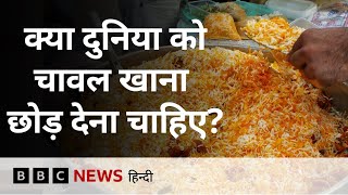 Rice Farming से Cooking तक इतने पानी की खपत होती है कि Climate Change पर असर पड़ रहा (BBC Hindi) screenshot 3