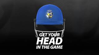 Personalize Your Dsc Cricket Helmet With Your Own Logo