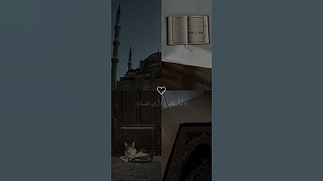 ارح قلبك 🤍 #قرآن_كريم #تلاوات_خاشعة #أرح_سمعك_وقلبك #راحه_نفسيه #ياسر_الدوسري #اكسبلور