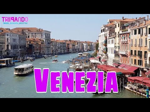 Video: Le migliori cose da fare con i bambini a Venezia