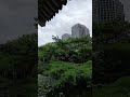 태평가 신승태 손승연 한일톱텐쇼 트롯왕자 트롯공주 신승태노래 손승연노래 태평가 신승태 손승연 한일톱텐쇼 트롯왕자 트롯공주 신승태노래 손승연노래