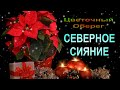 Цветочный оберег &quot;СЕВЕРНОЕ СИЯНИЕ&quot;