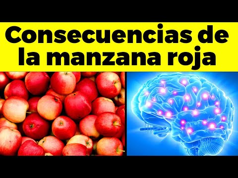 La Guía de las Vitaminas