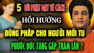 5 Lời Phật Dạy Về Cách Hồi Hướng Đúng Pháp – Người Mới Tu Cũng Được Phước Vô Lượng !