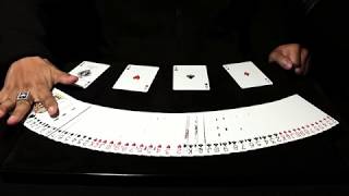 SHADE - CARD SHARK