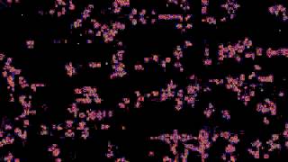 [1080p, 60fps] Cellular Automata with long evolutionary dynamics