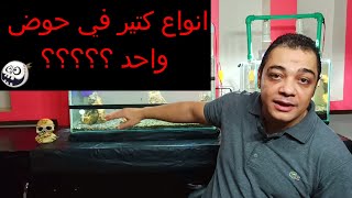 عمل حوض متوافق (١)