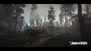 SURVARIUM: CHILLING on SUNDAY!