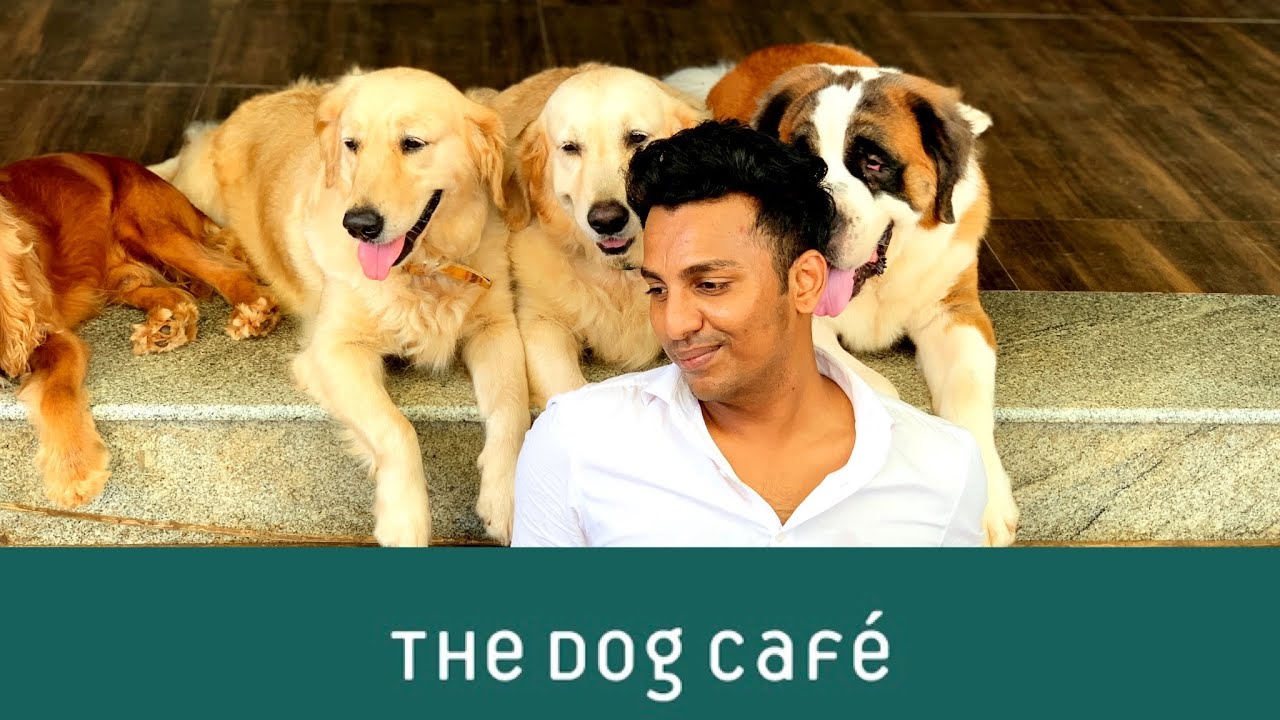 K9 Restro Dog Cafe Mangalore Vlog 2022 YouTube