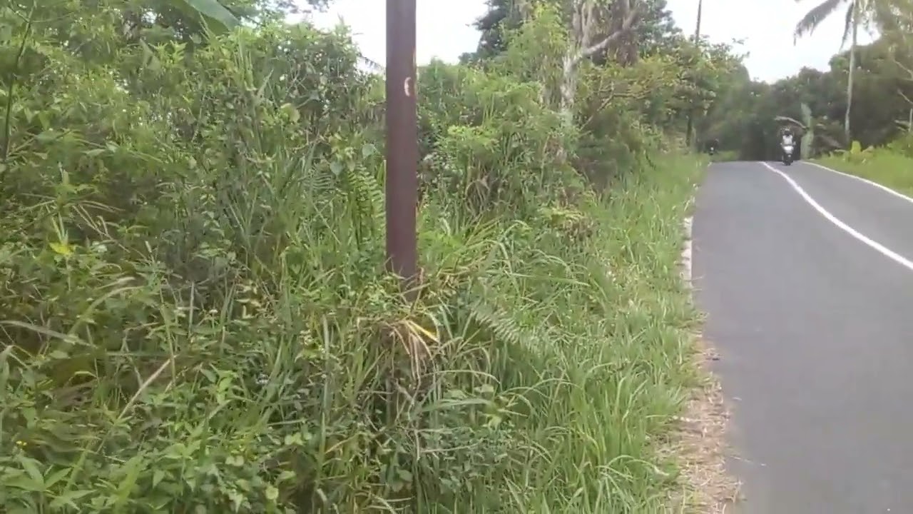 Dèsa cageur kec darma kuningan #suasanapedesaan # (@andinugroho_hl9rj )