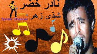 نادر خضر        شذى زهر