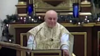 Fr Castronovo Homily on Feast of the Holy Family by thirdeaglebooks 166 views 3 months ago 8 minutes, 56 seconds