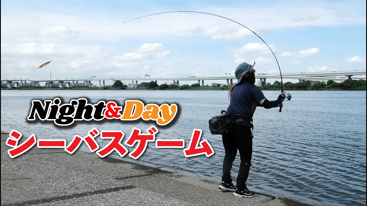 【釣り】ナイト＆デイのシーバス釣行記