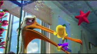 El Pelícano Buscado A Nemo