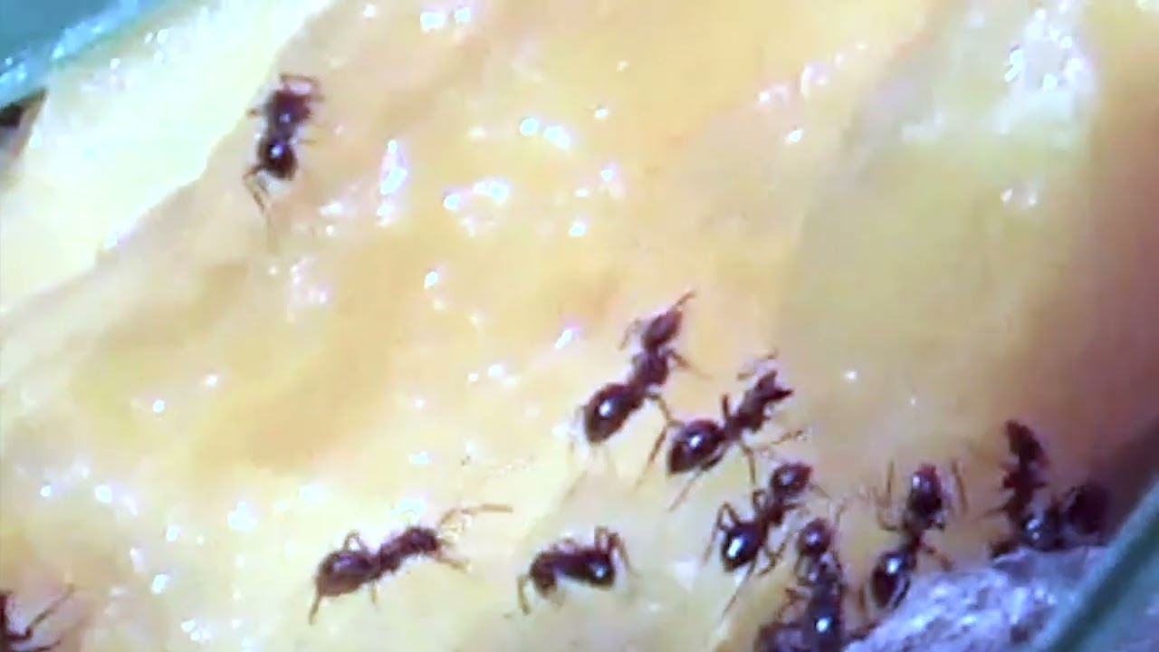 Elisabeth Klinck - One Day