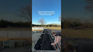 You plant potatoes to get MORE potatoes!!! #gardening #potatoes #growyourownfood
