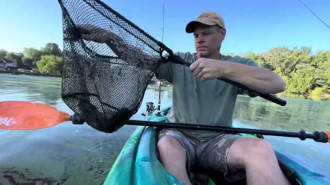 🎣 popper & plopper for bass #fishing #outdoors #bassfishing