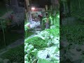 sochta hu #comedy #funny #love #viralvideo #viral #trending #yaarateriyaariko #automobile