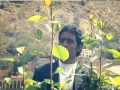 الحباب والصحاب واكبدي الي من الهجره الحباب والصحاب واكبدي الي من الهجره