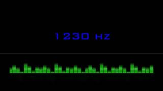 ⒽⓏ| 1230 hz Pure Tone Frequency| NO Music , For Meditation, Testing. Black Screen