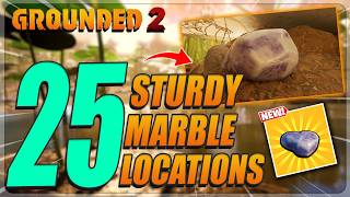Grounded 2 - The ONE Guide You NEED For Sturdy Marble Locations