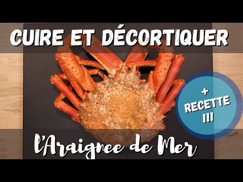 Vidéo: Comment obtenir de l'araignée de mer ?