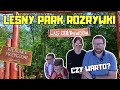 Las Odkrywców - Rodzinna Przygoda w Leśnym Parku 🌲 Atrakcje dla Dzieci i #vlogrodzinny #vlog