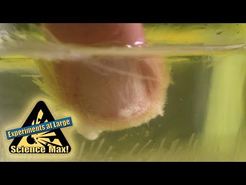 Science Max: Sodium Acetate Crystals