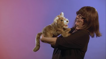 Folkmanis® African Lion Cub Puppet Demo