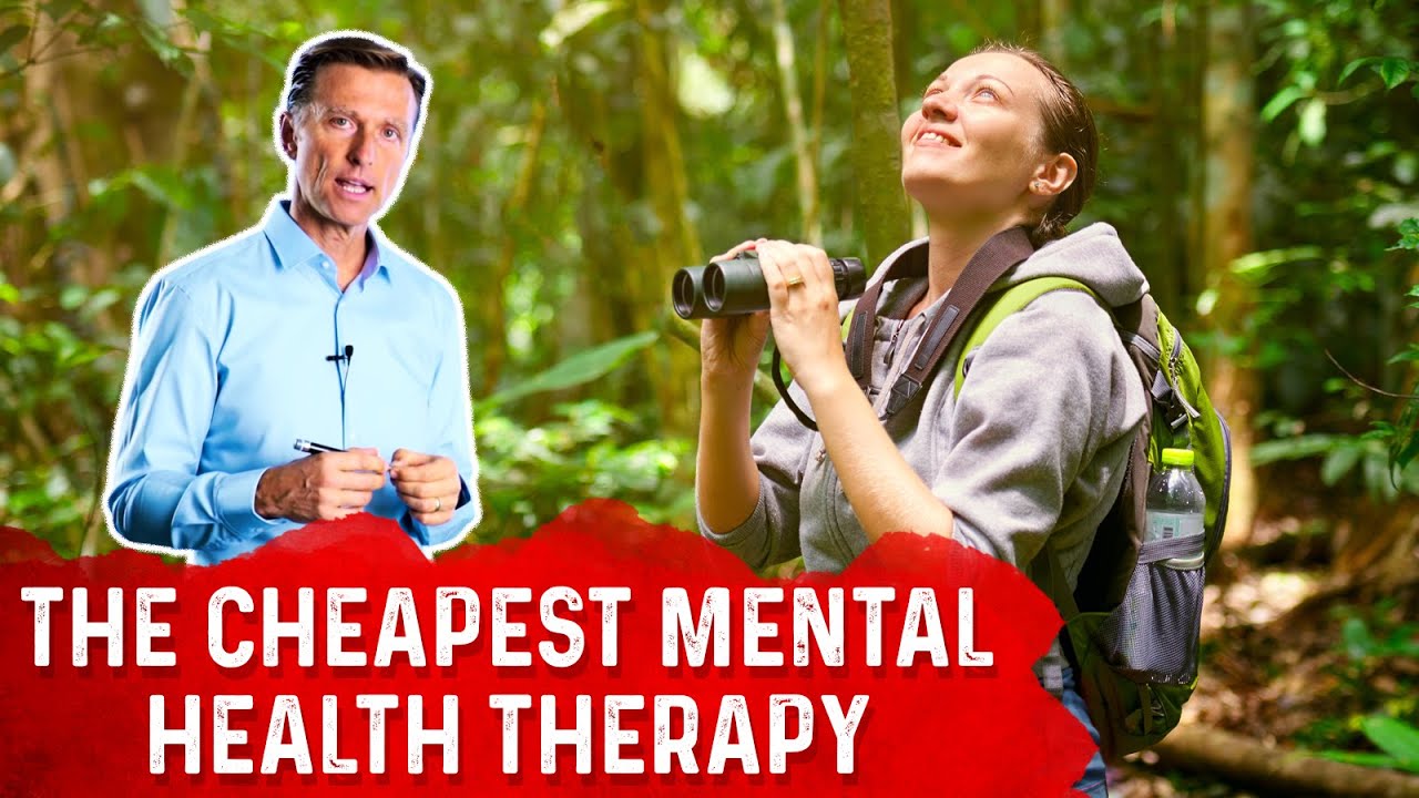 The Mental Health Benefits of Bird Watching YouTube