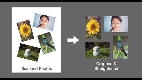 How To Quickly Straighten A Layer On Photoshop #Shorts
